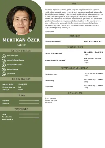 cv indir